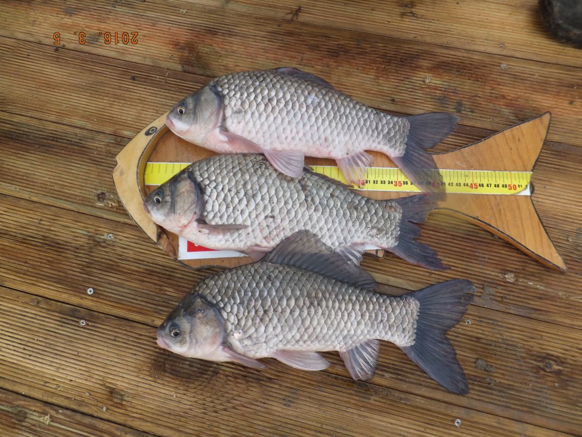 201300703 011.jpg