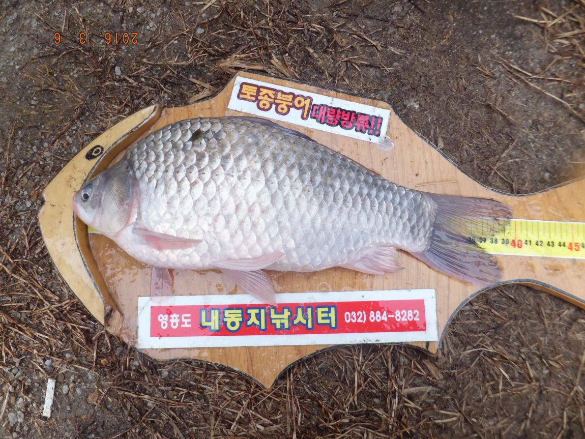 201300703 071.jpg