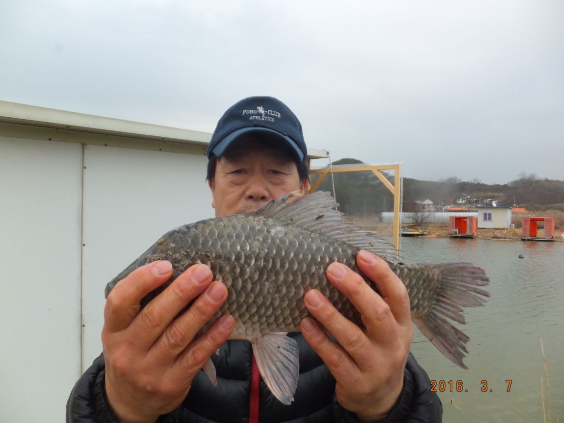 201300703 091.jpg