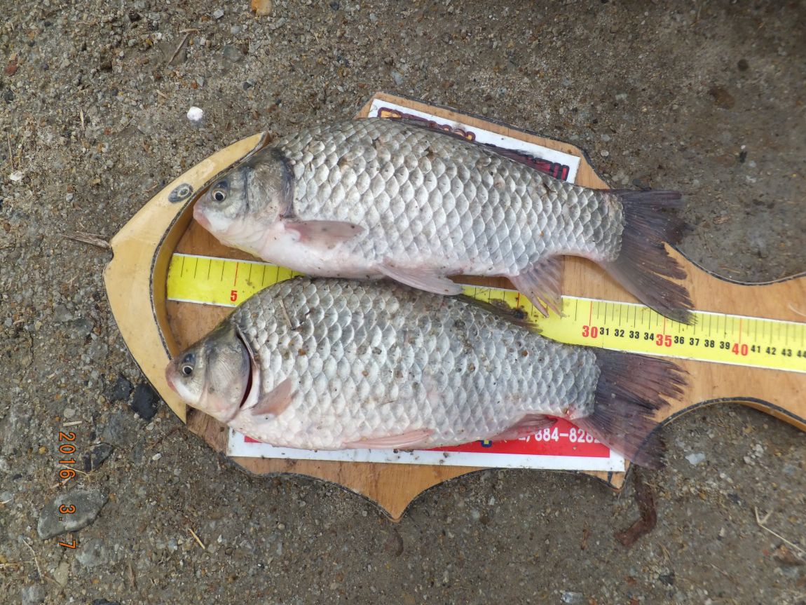 201300703 095.jpg