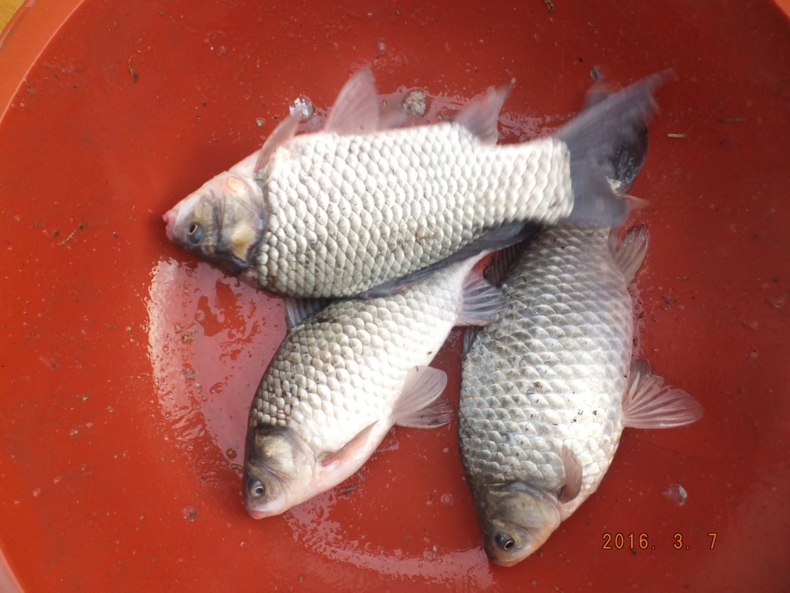 201300703 099.jpg