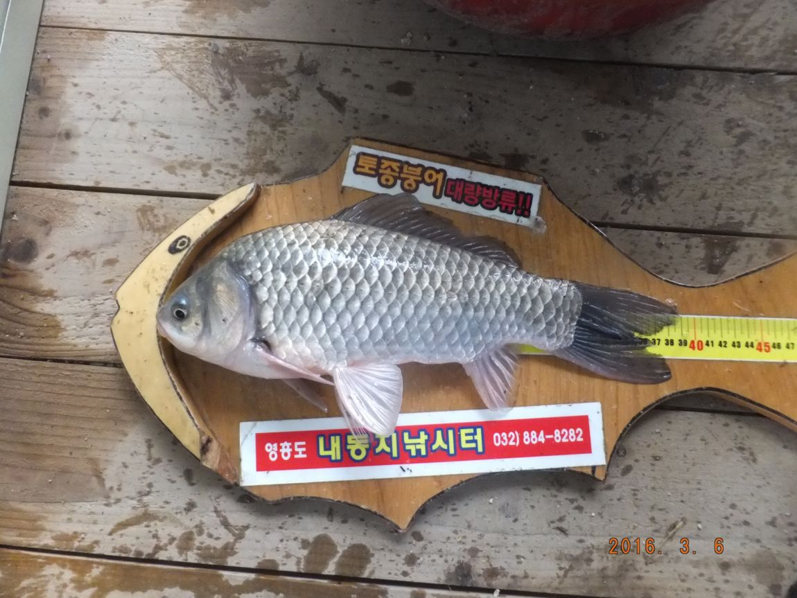 201300703 073.jpg