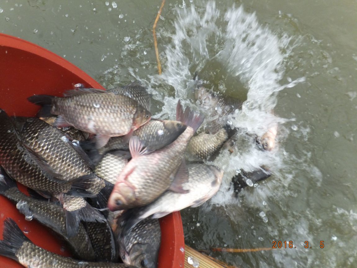 201300703 035.jpg
