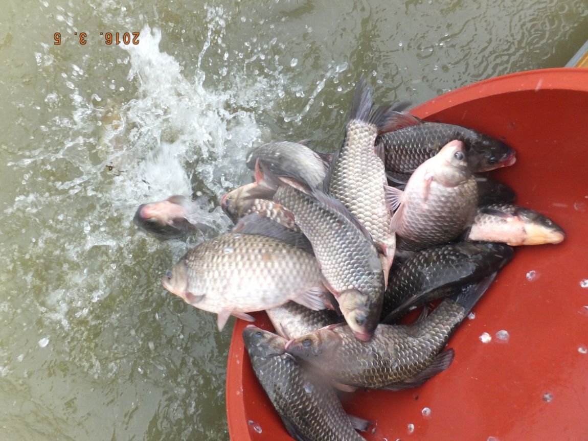 201300703 048.jpg