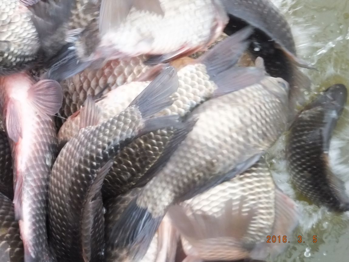 201300703 055.jpg