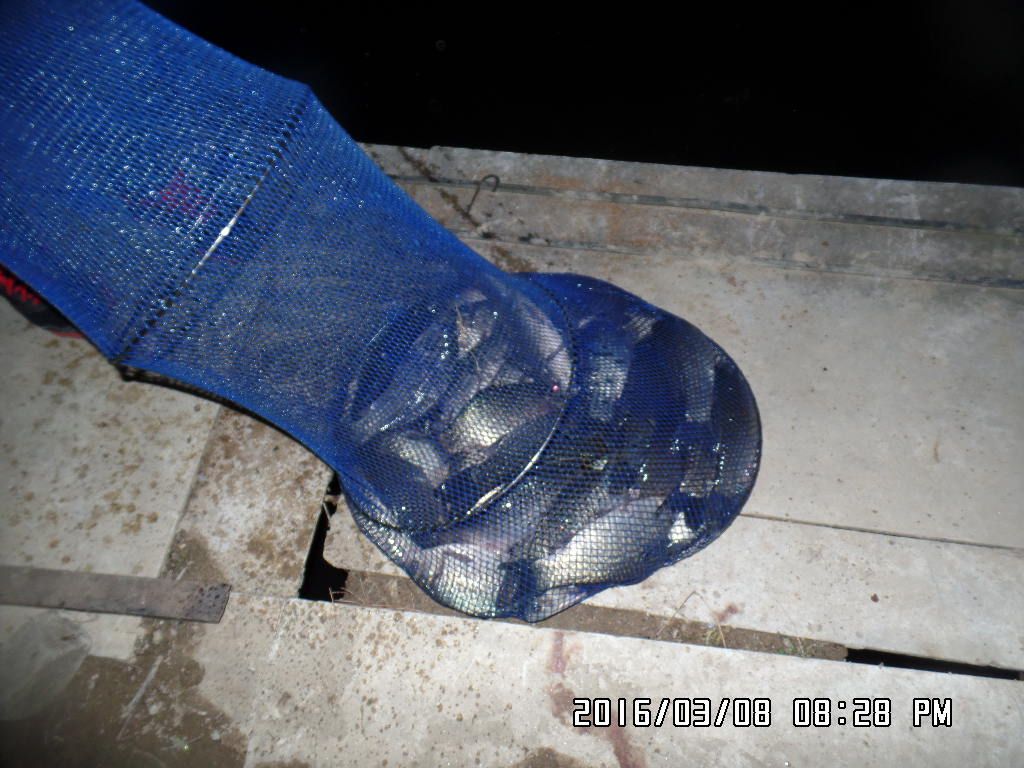 SAM_3233.JPG