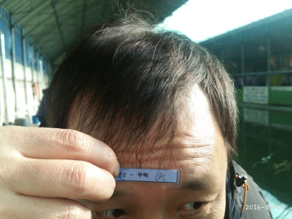 1457520905820.jpg