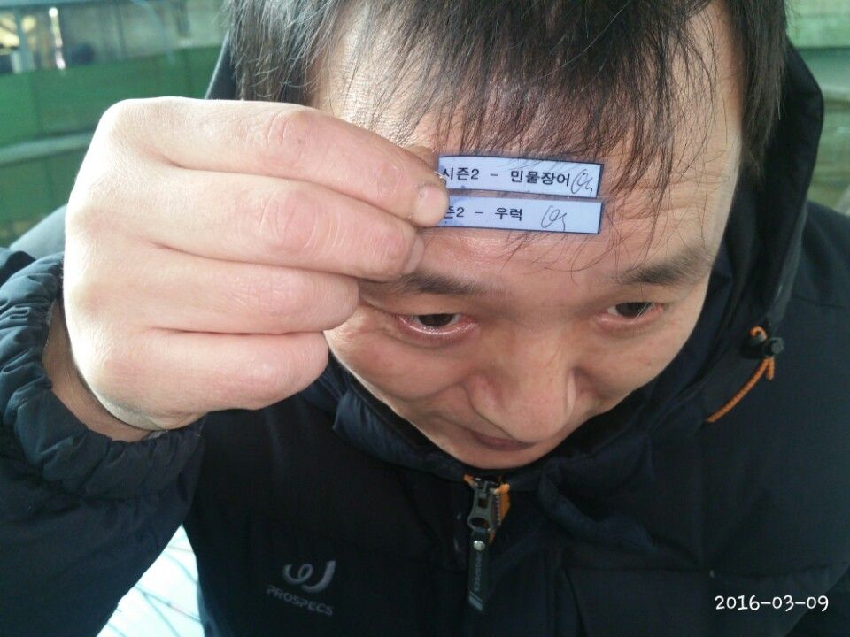 1457520903439.jpg