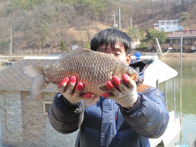 IMG_2452.JPG