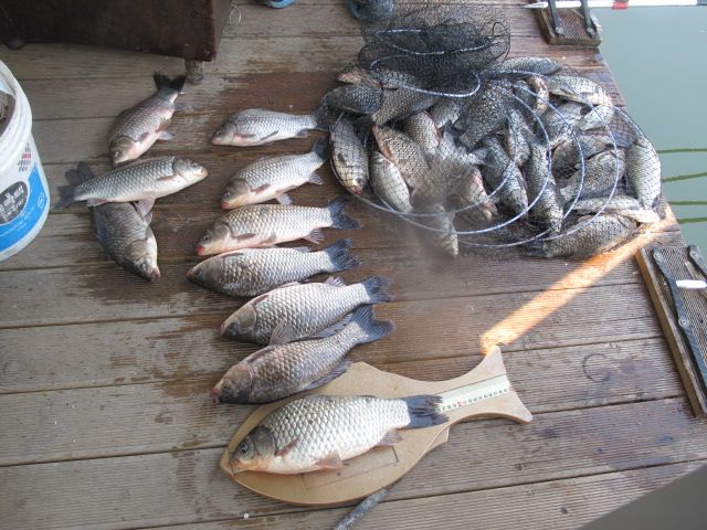 IMG_2463.JPG