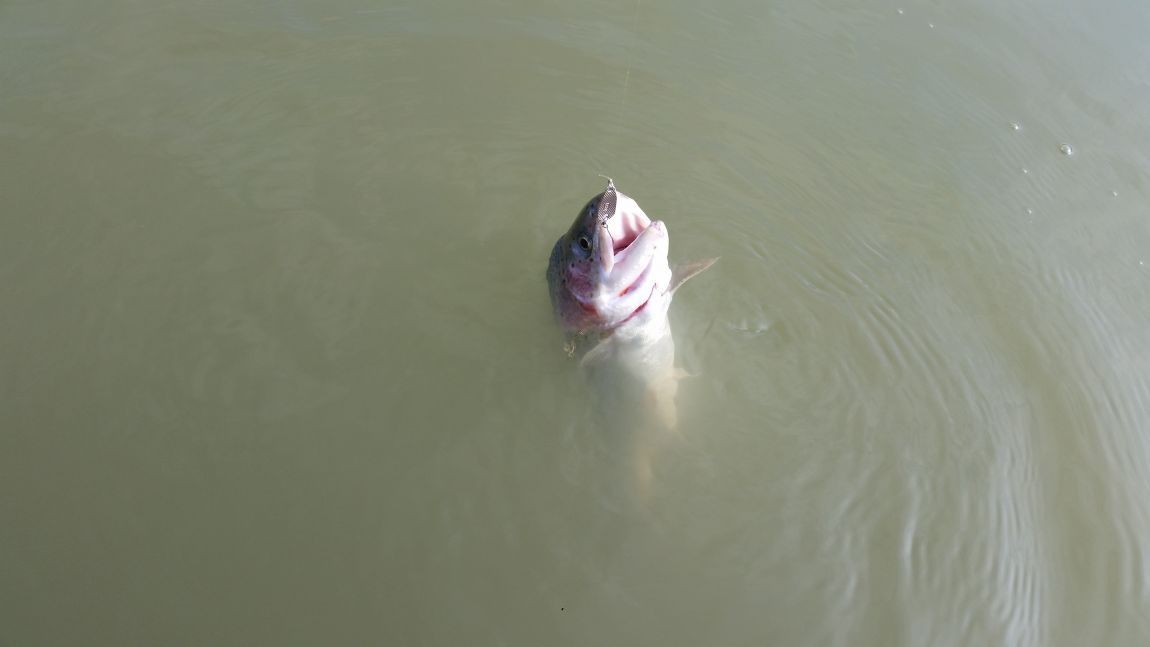 103.jpg
