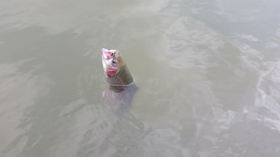 214.jpg