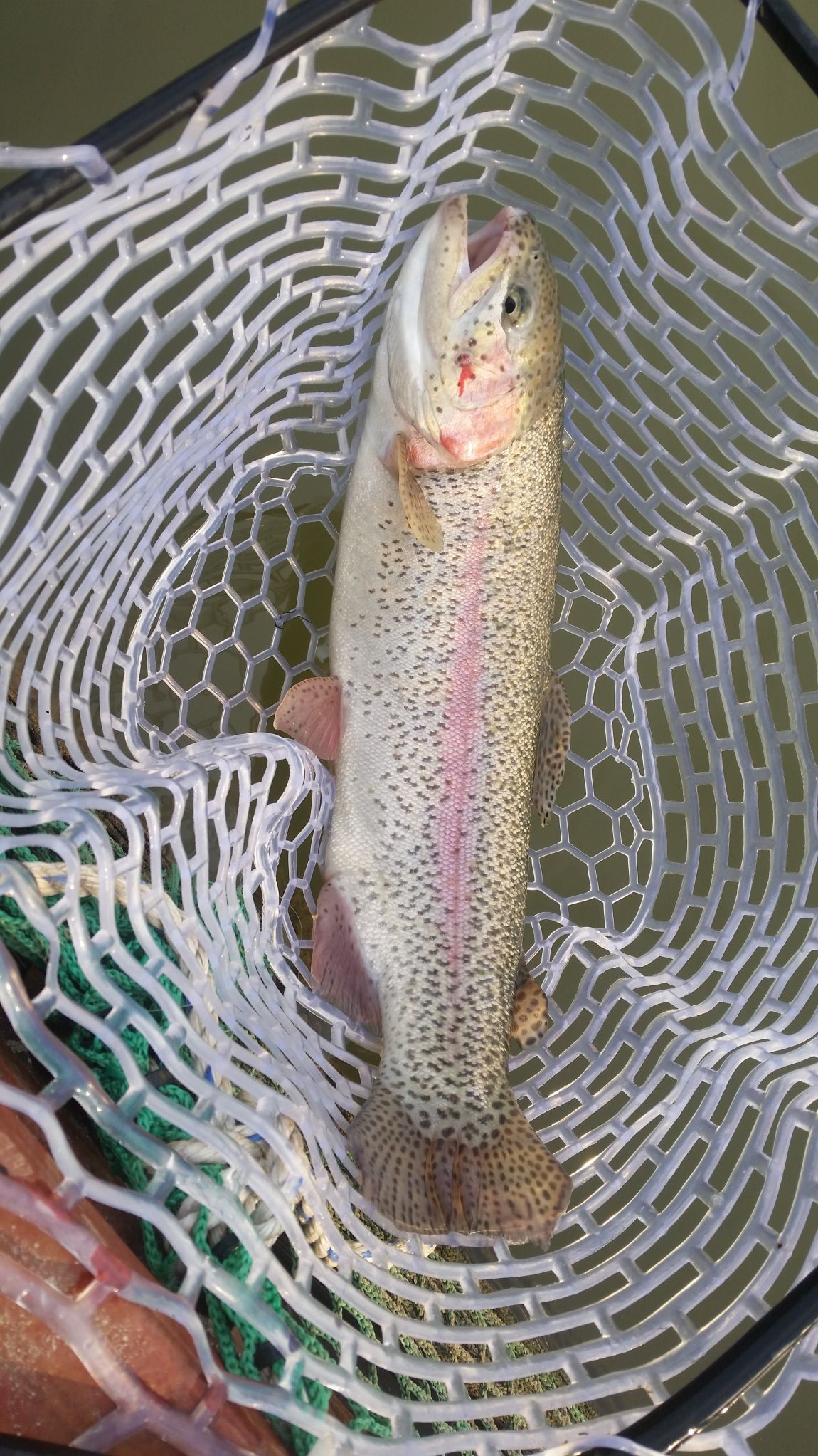 485.jpg
