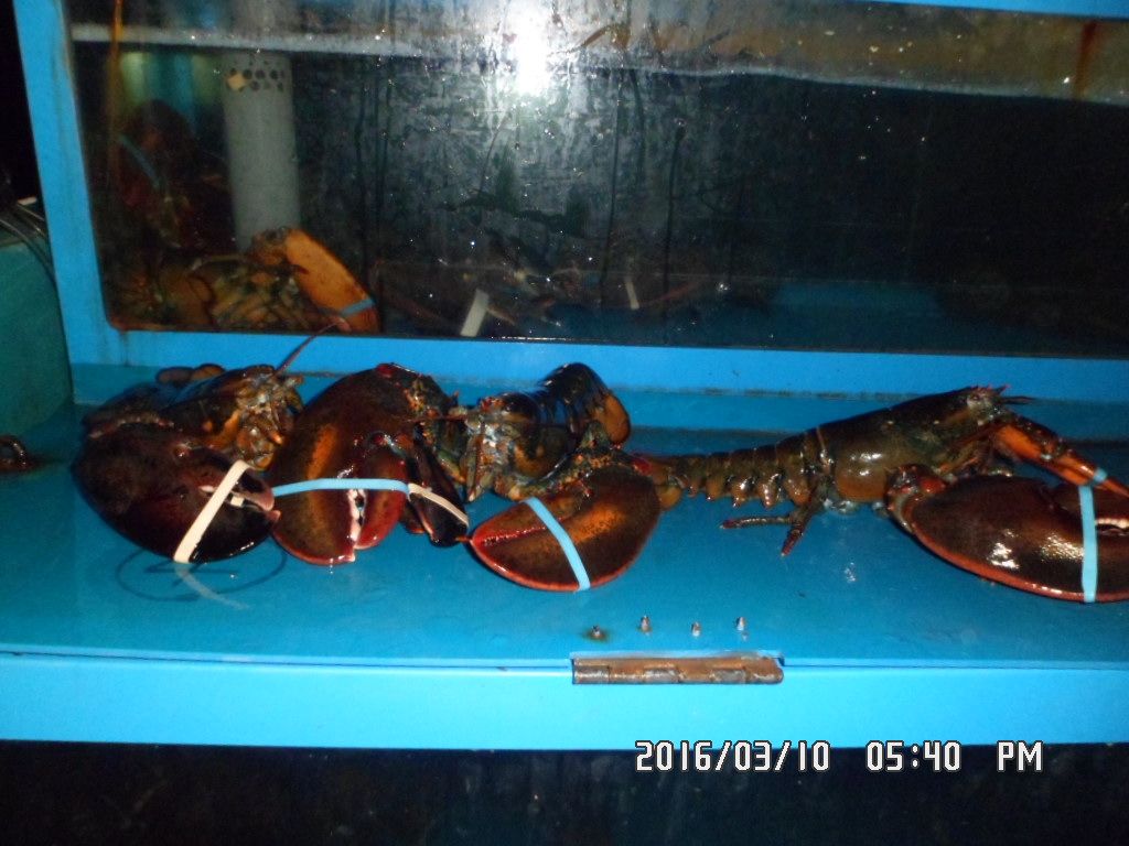 005.JPG