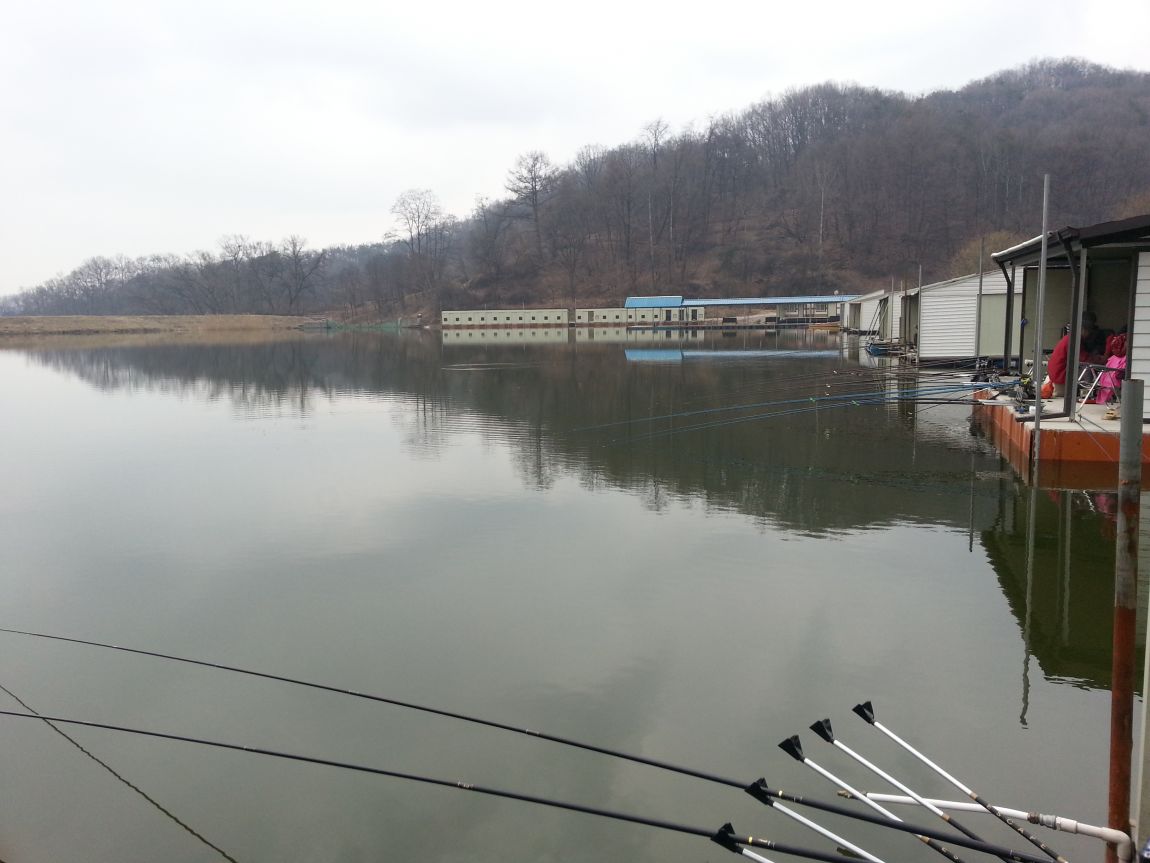 20160313_082704.jpg