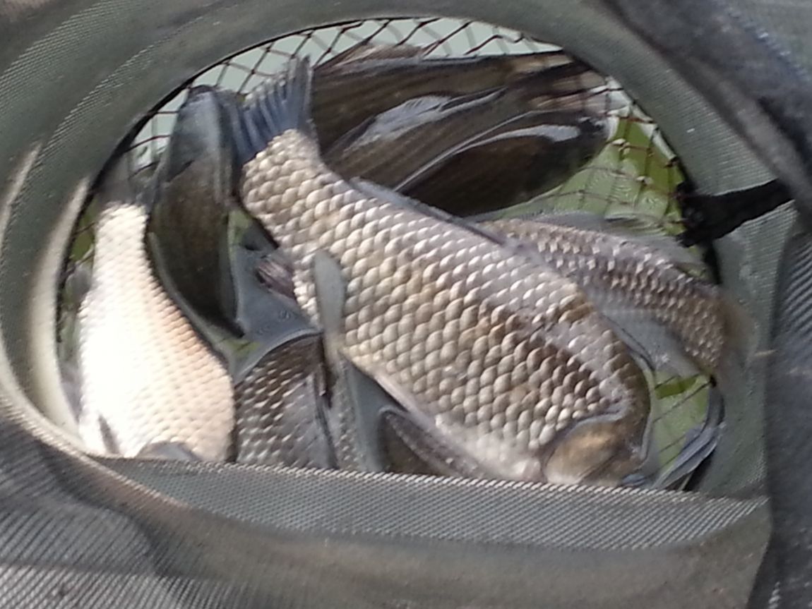 20160313_082818.jpg