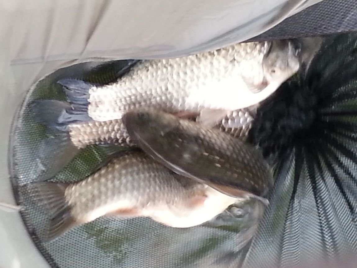 20160313_083423.jpg