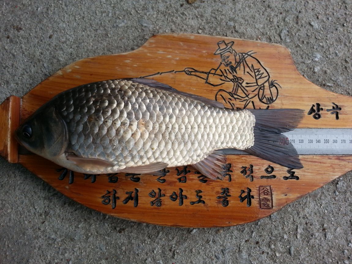 20160313_083509.jpg