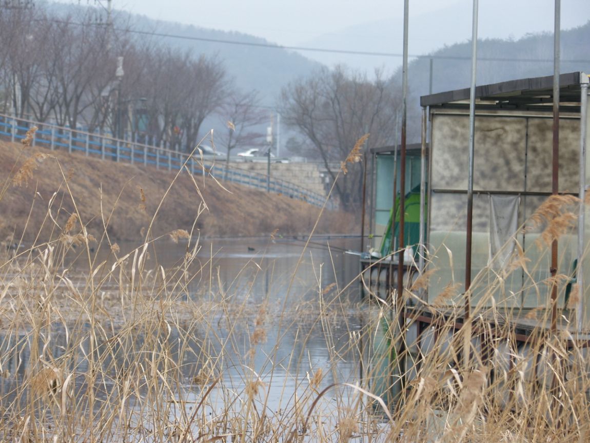SH101244.JPG