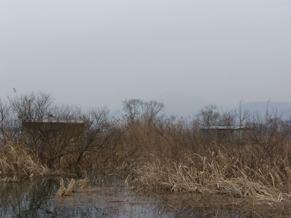 SH101247.JPG