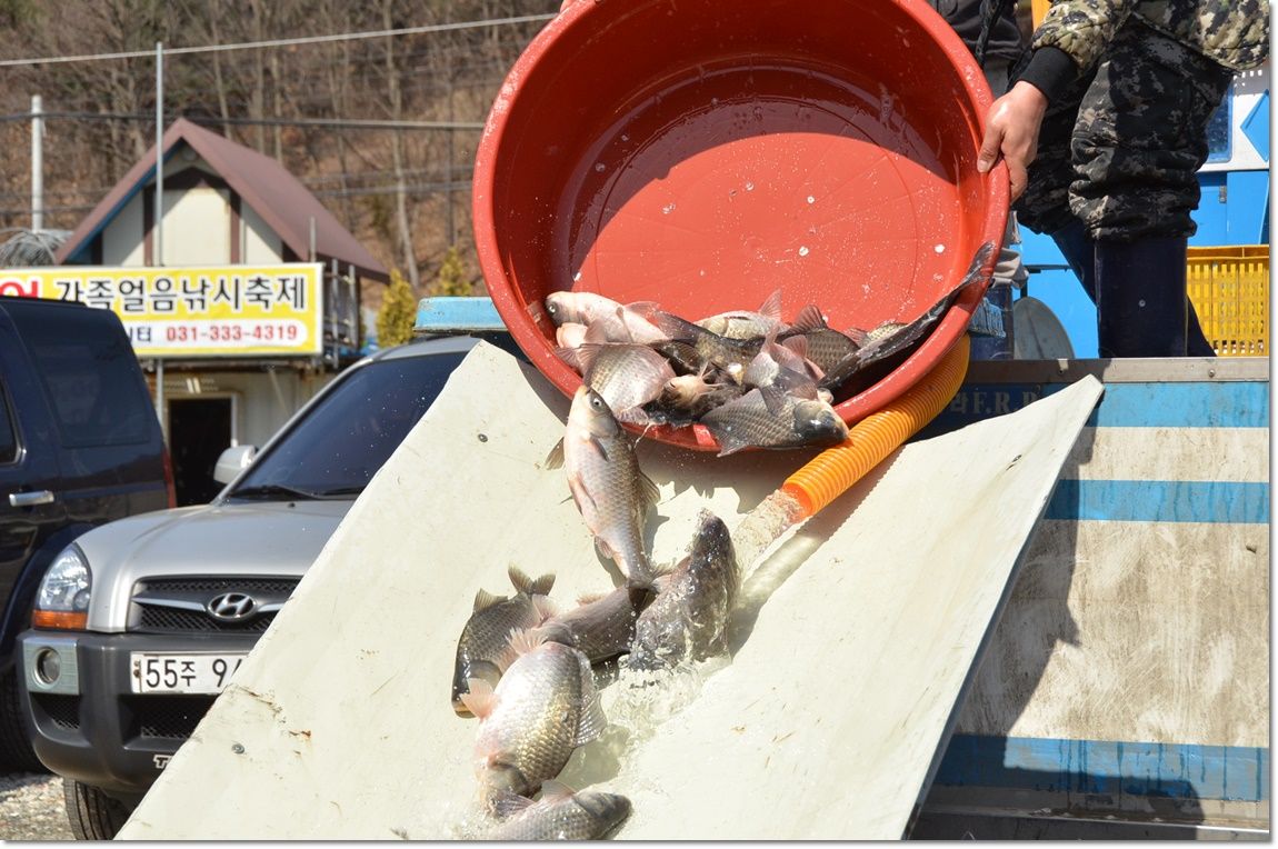 DSC_4598.JPG