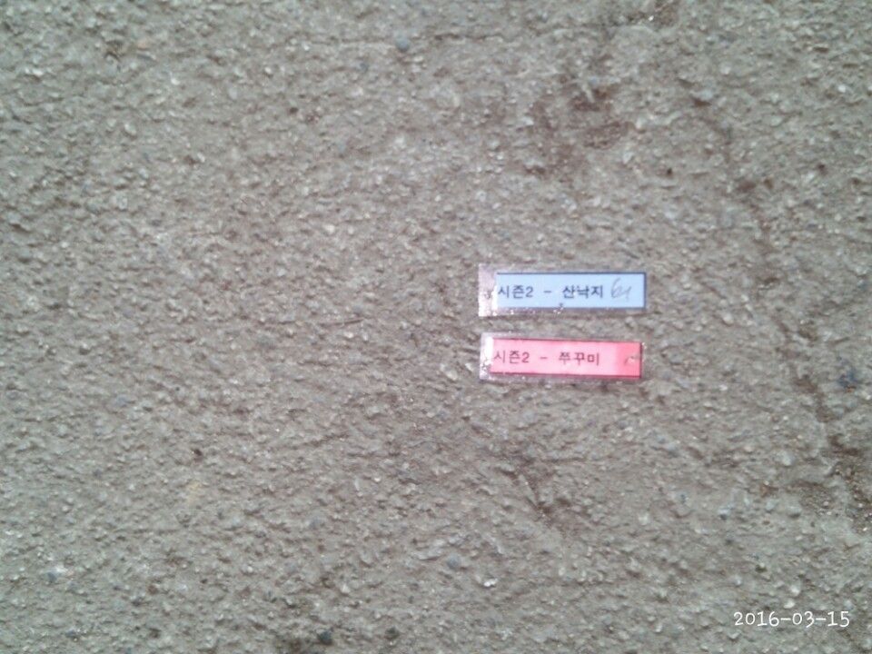 1458035332862.jpg