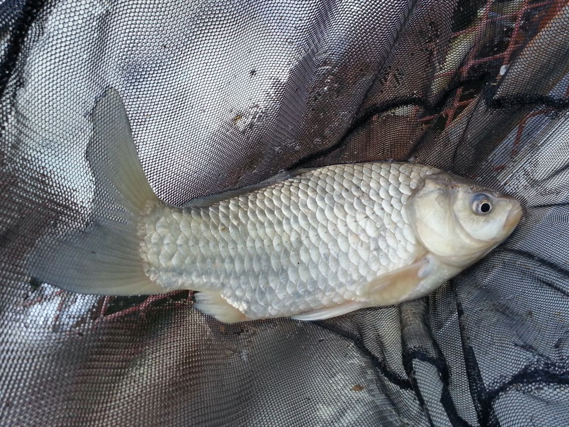 20160310_171504.jpg