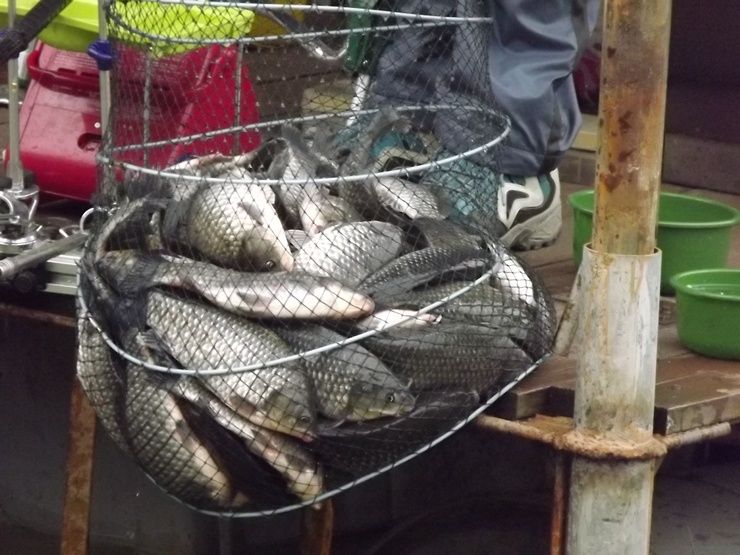 ���� 054.jpg