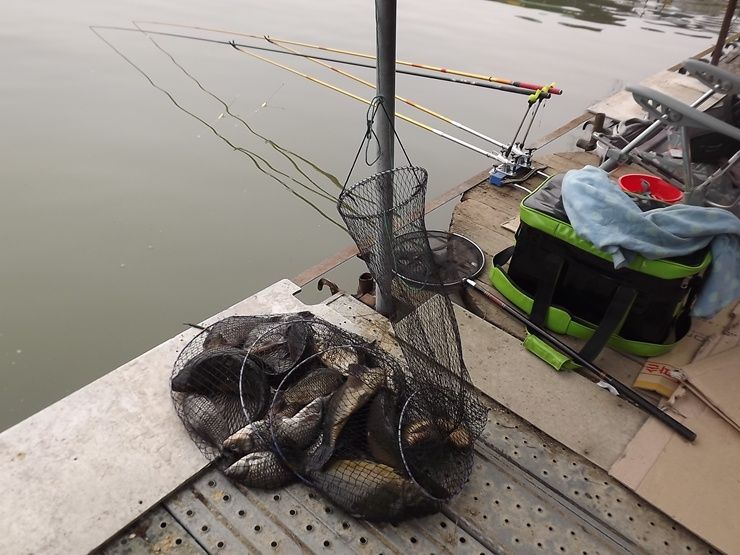 ���� 081.jpg