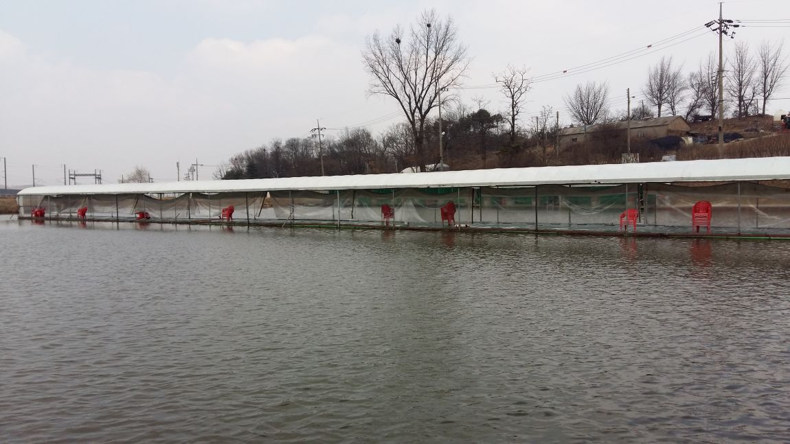 20160314_122021.jpg
