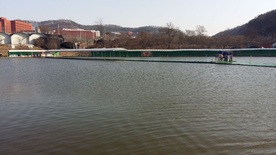 20160316_163051.jpg