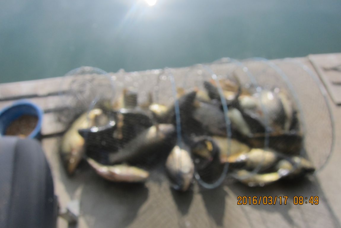 IMG_1166.JPG