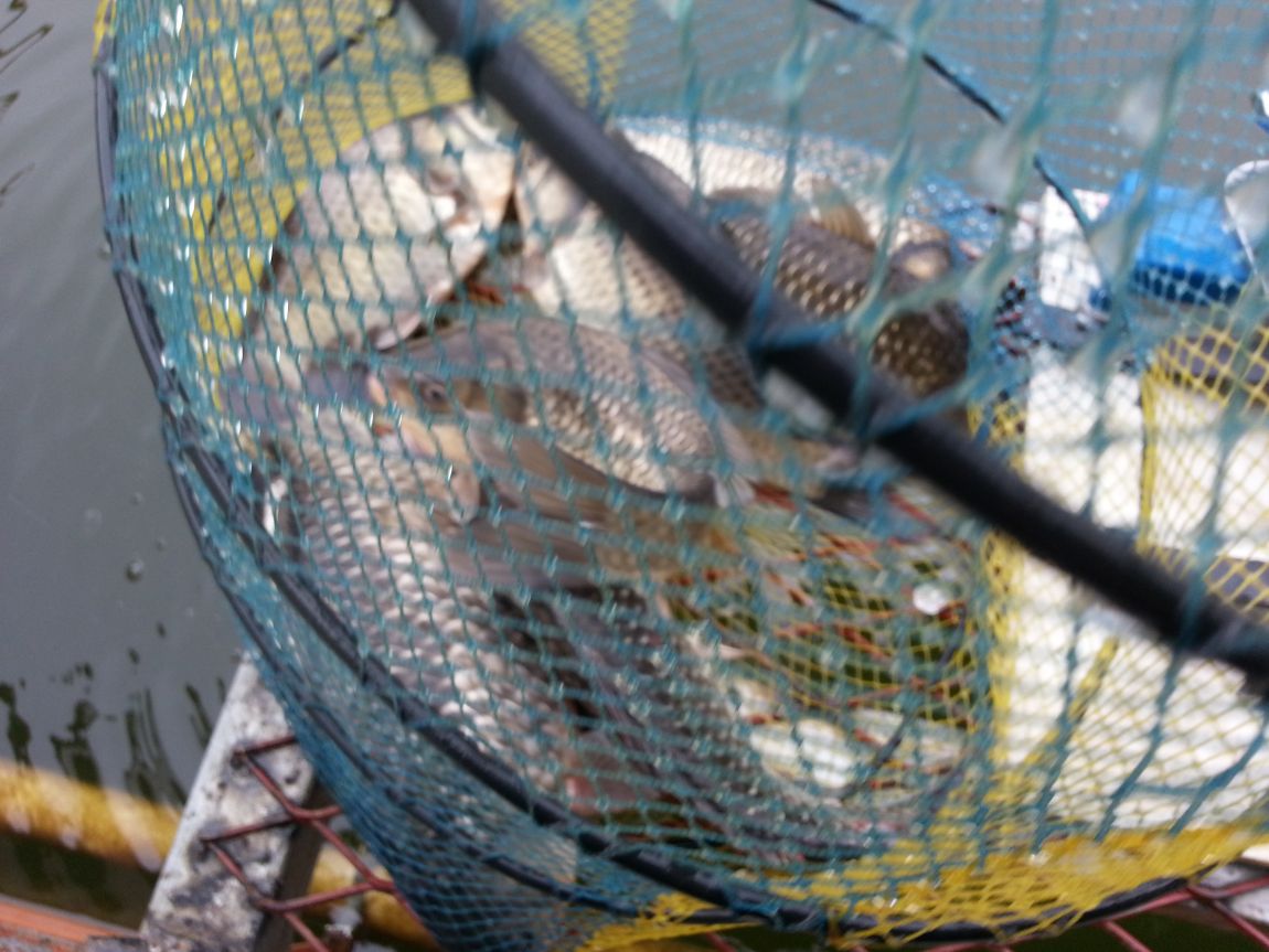 20160318_092912.jpg