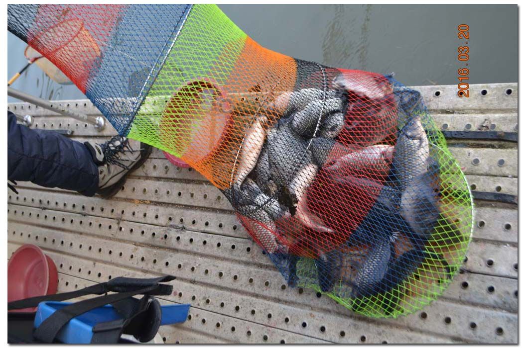 Untitled-1 copy 3.jpg