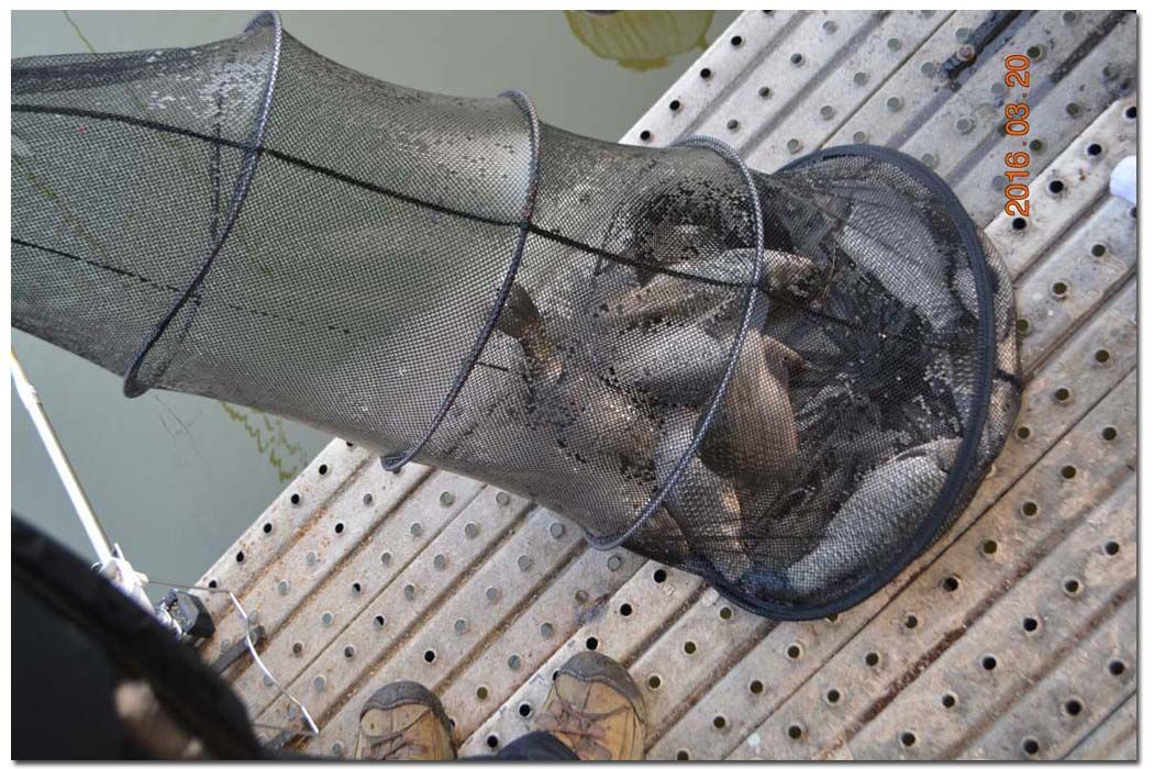 Untitled-1 copy 4.jpg