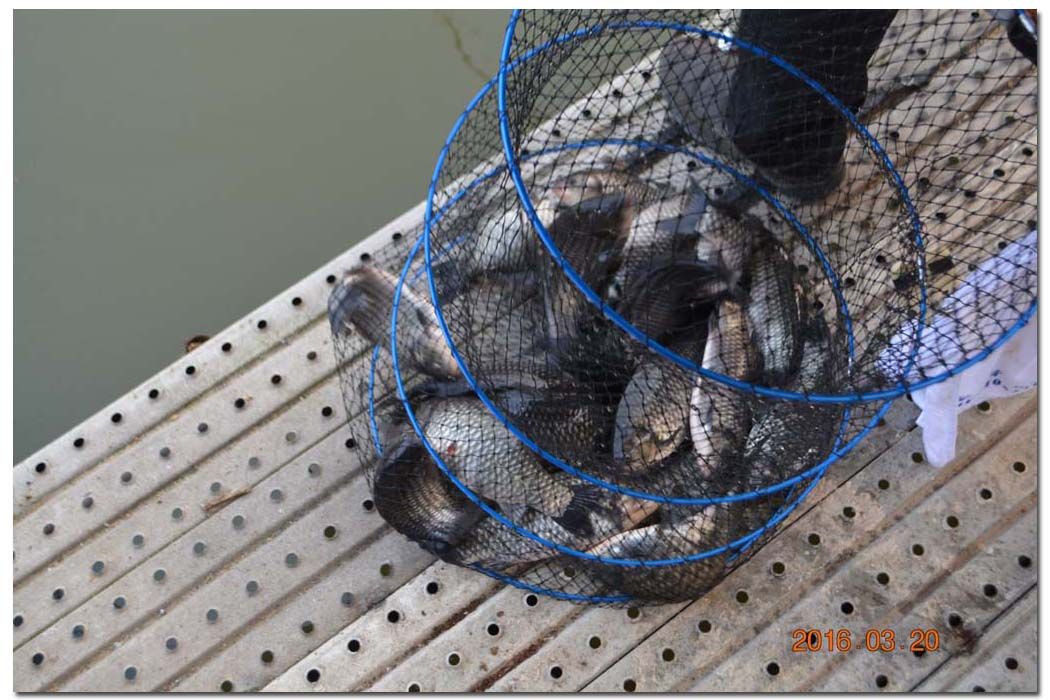 Untitled-1 copy 6.jpg