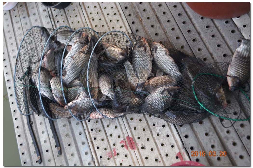 Untitled-1 copy 9.jpg