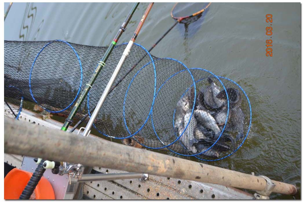 Untitled-1 copy 8.jpg