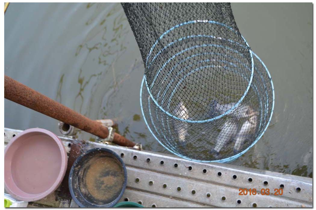 Untitled-1 copy 10.jpg