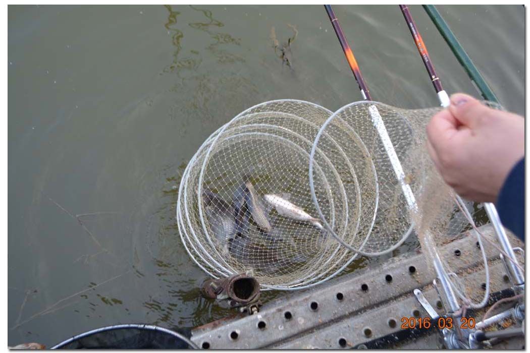 Untitled-1 copy 11.jpg