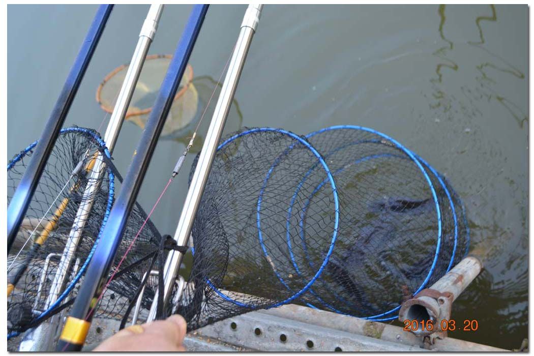 Untitled-1 copy 14.jpg