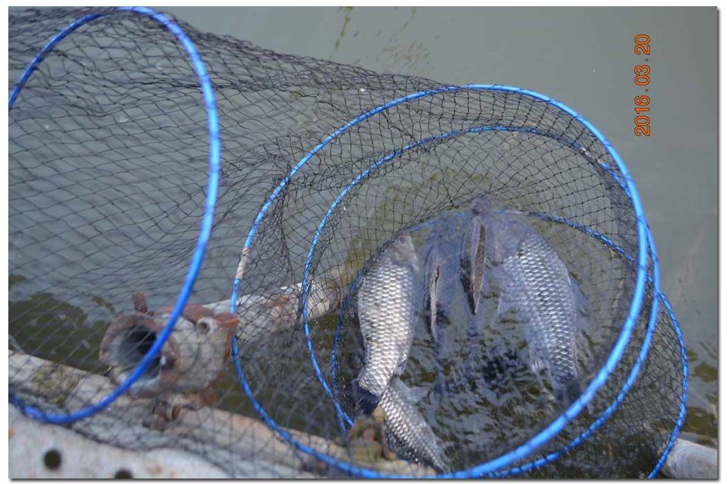 Untitled-1 copy 13.jpg