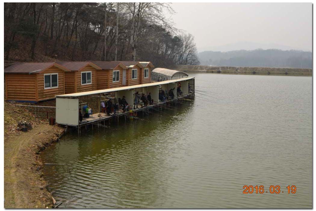 Untitled-1 copy 17.jpg