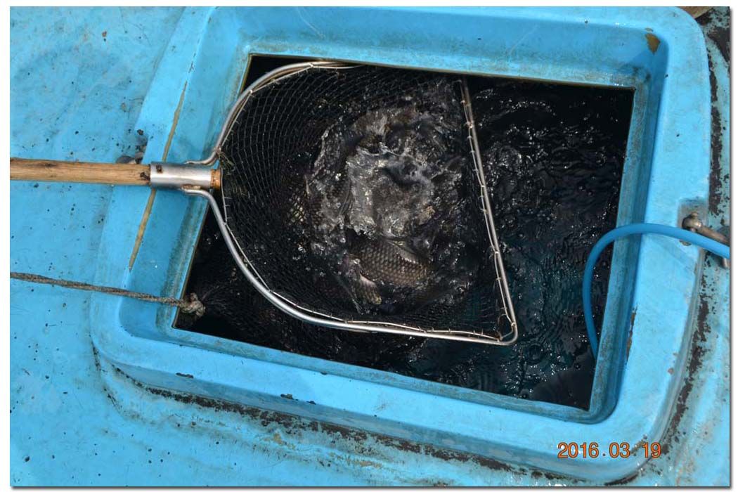 Untitled-1 copy 20.jpg