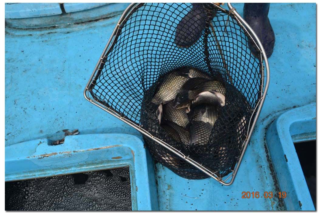 Untitled-1 copy 19.jpg