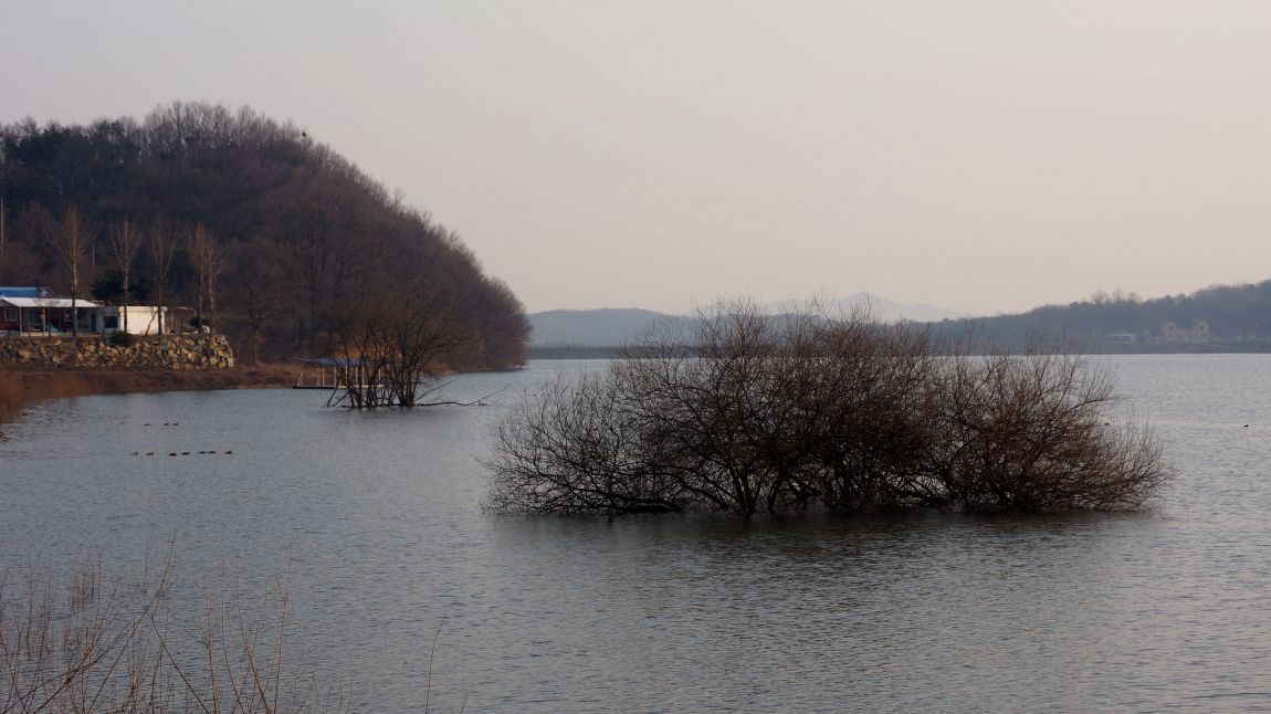 DSC02183-d.jpg