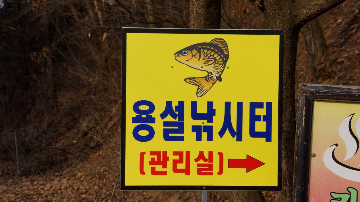 DSC02195-d.jpg