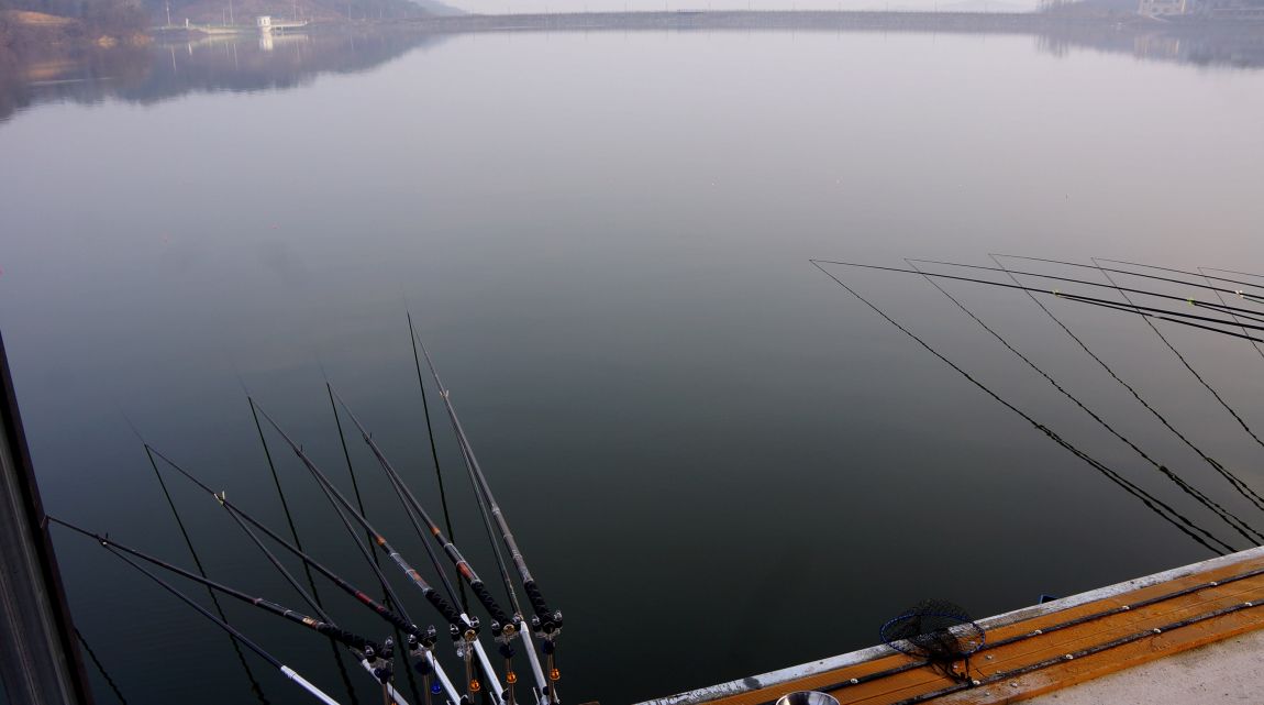 DSC02221-d.jpg