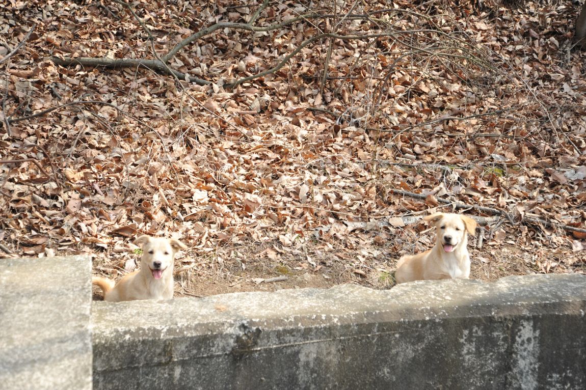 DSC_2465.JPG