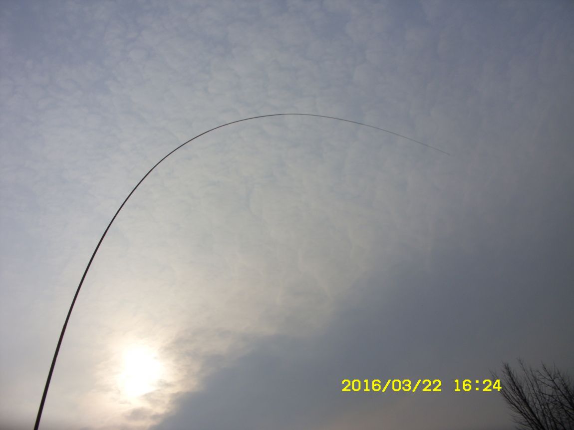 SDC15950.JPG